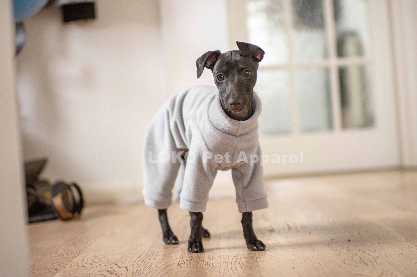 Fleece Basics - Puppy