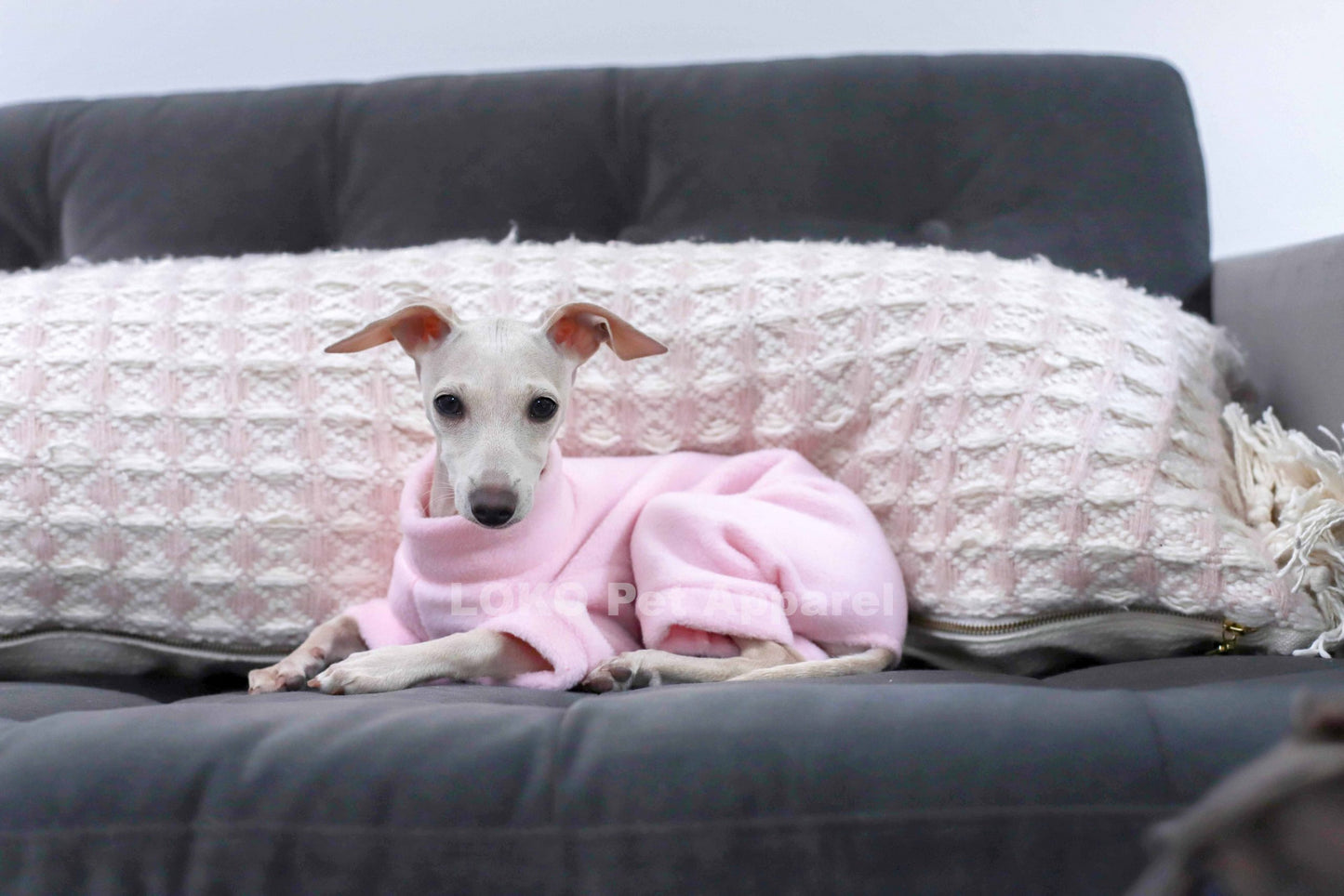 Fleece Basics - Puppy