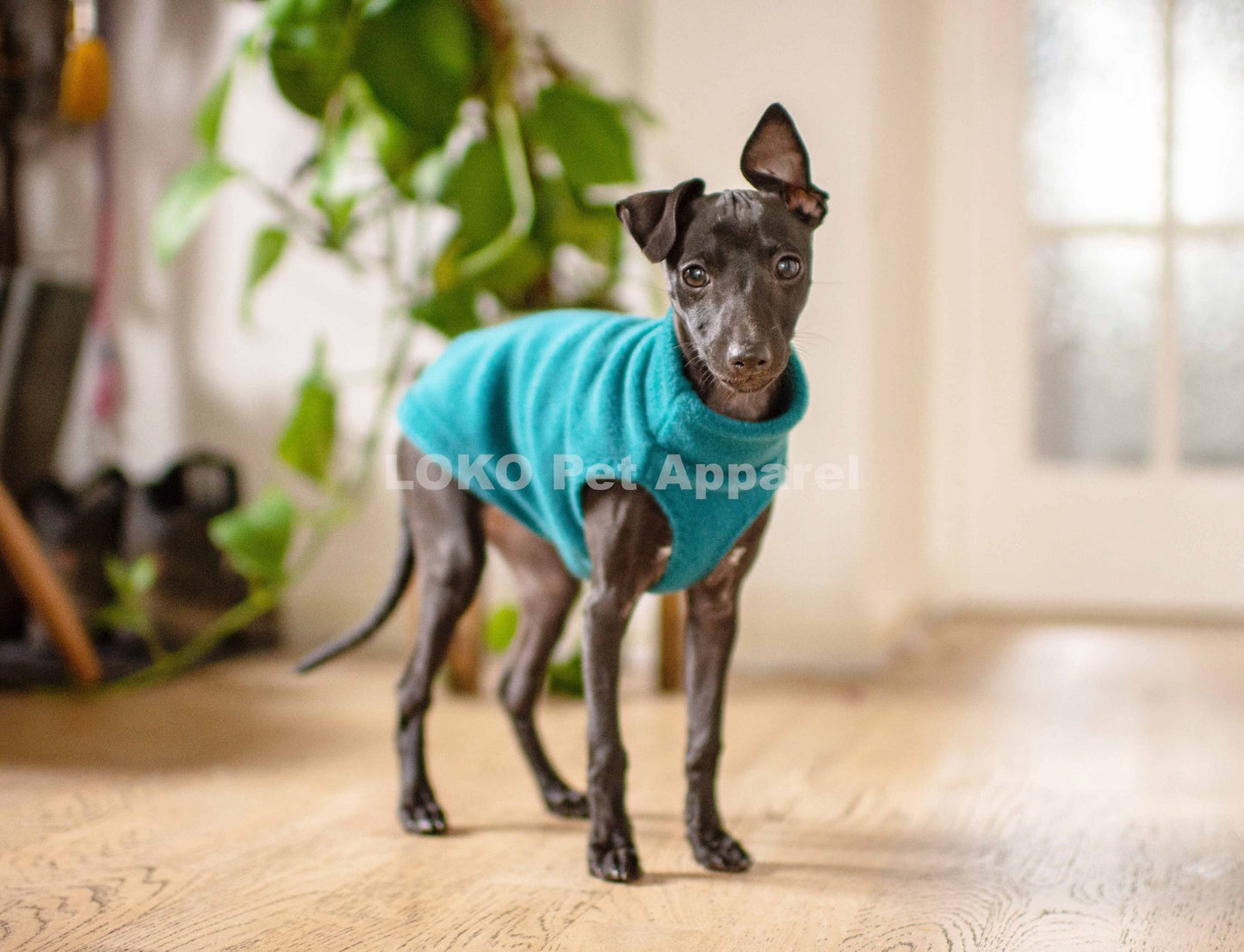 Fleece Basics - Puppy