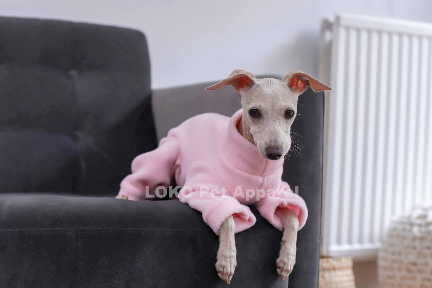 Fleece Basics - Puppy