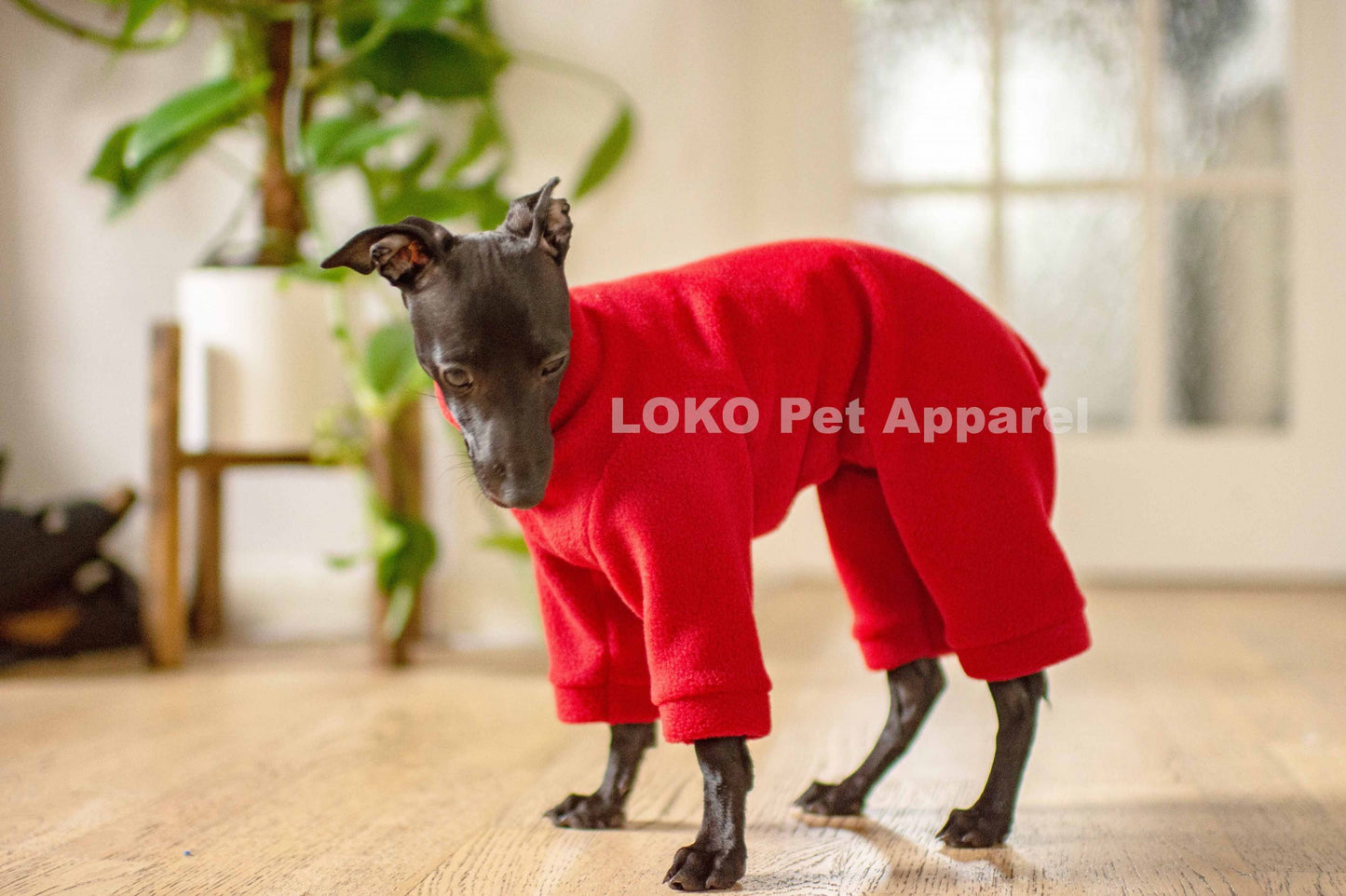Fleece Basics - Puppy