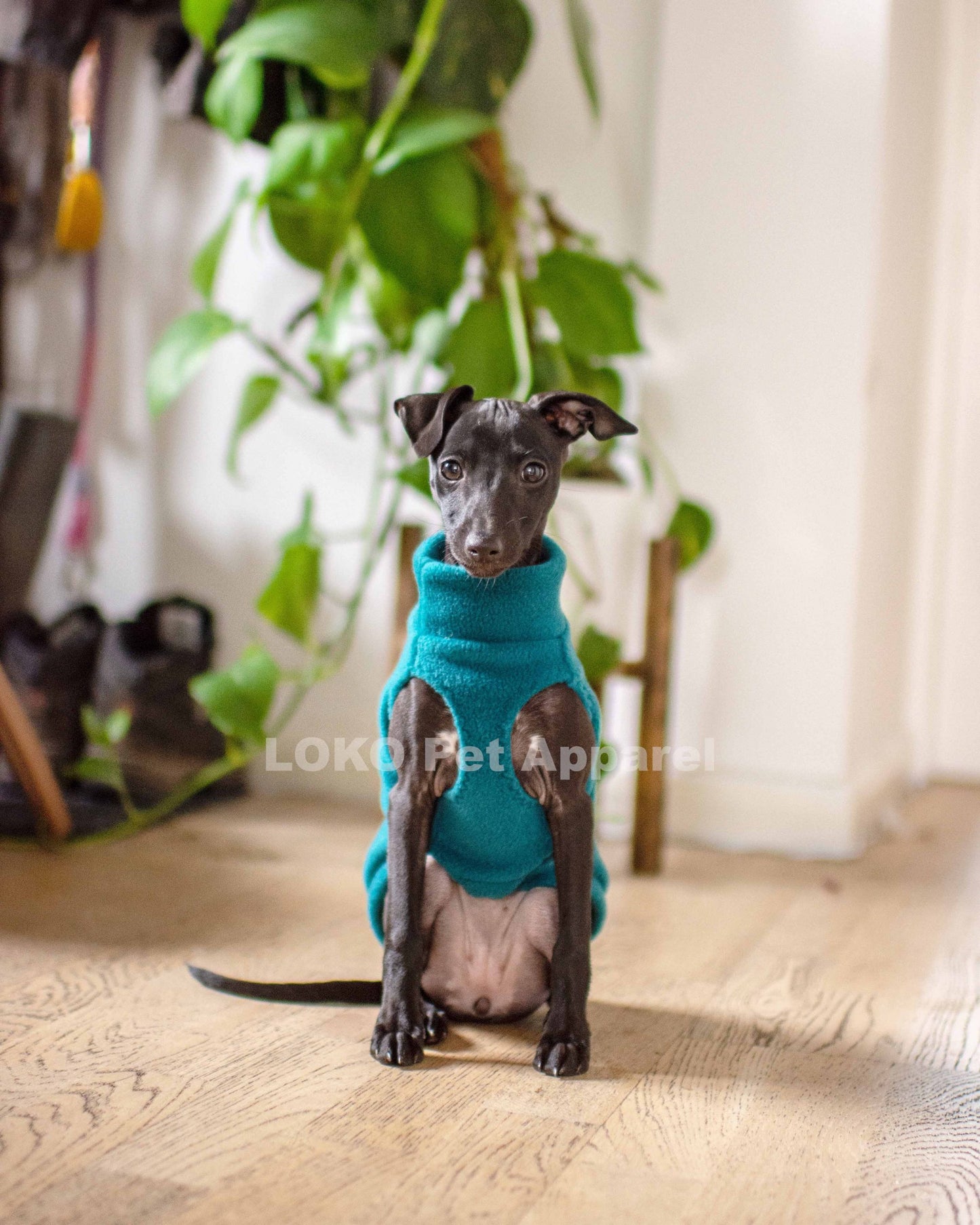 Fleece Basics - Puppy