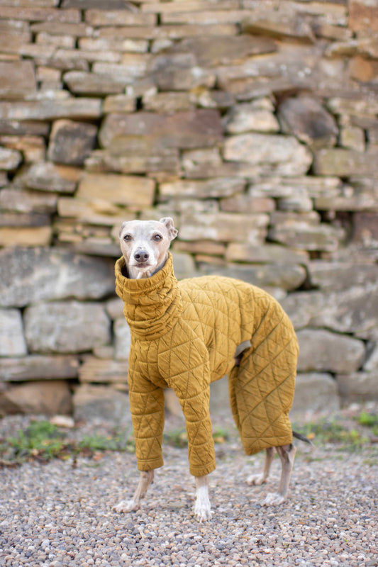 Quilted Onesies