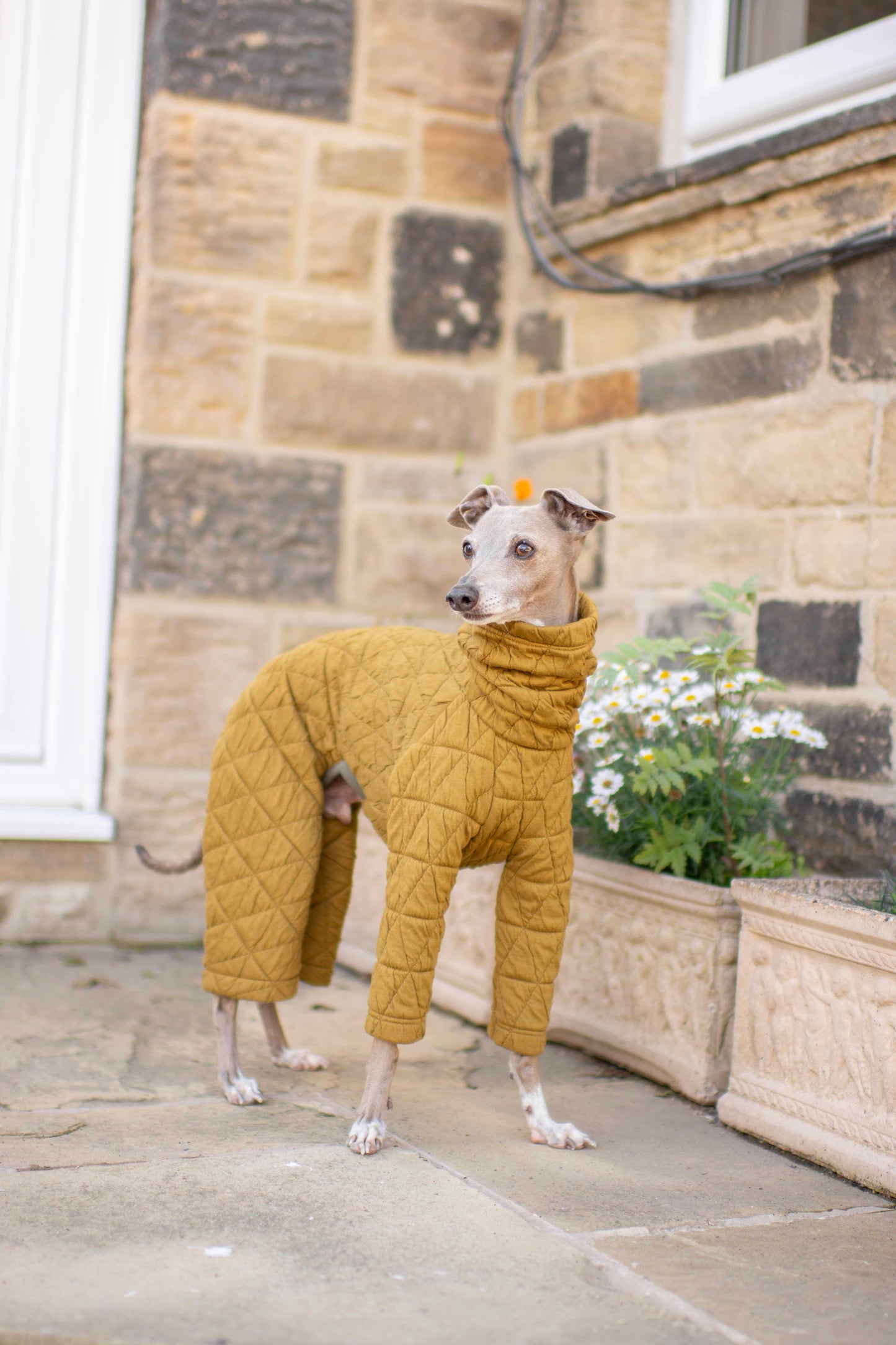 Quilted Onesies
