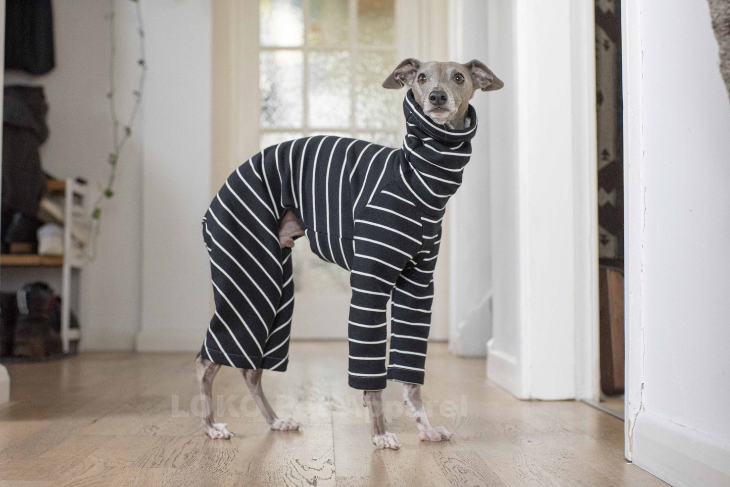 Striped Sweatshirt Onesies & Jumpers