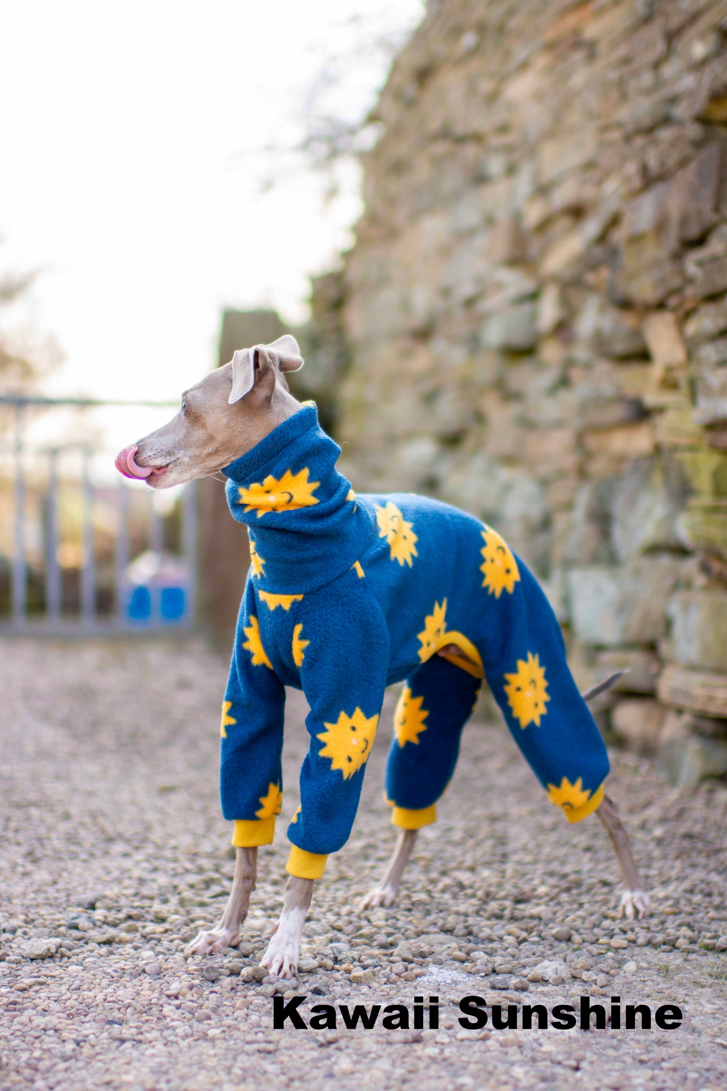 Limited Edition Patterned Fleece Onesie