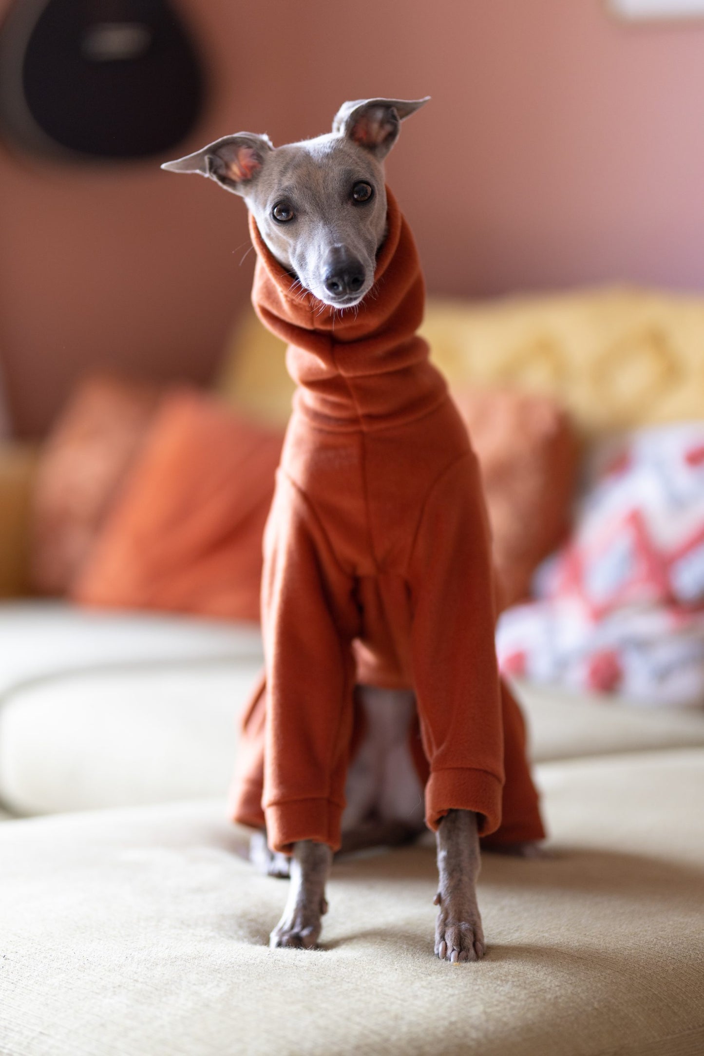 Fleece Basics - Onesie