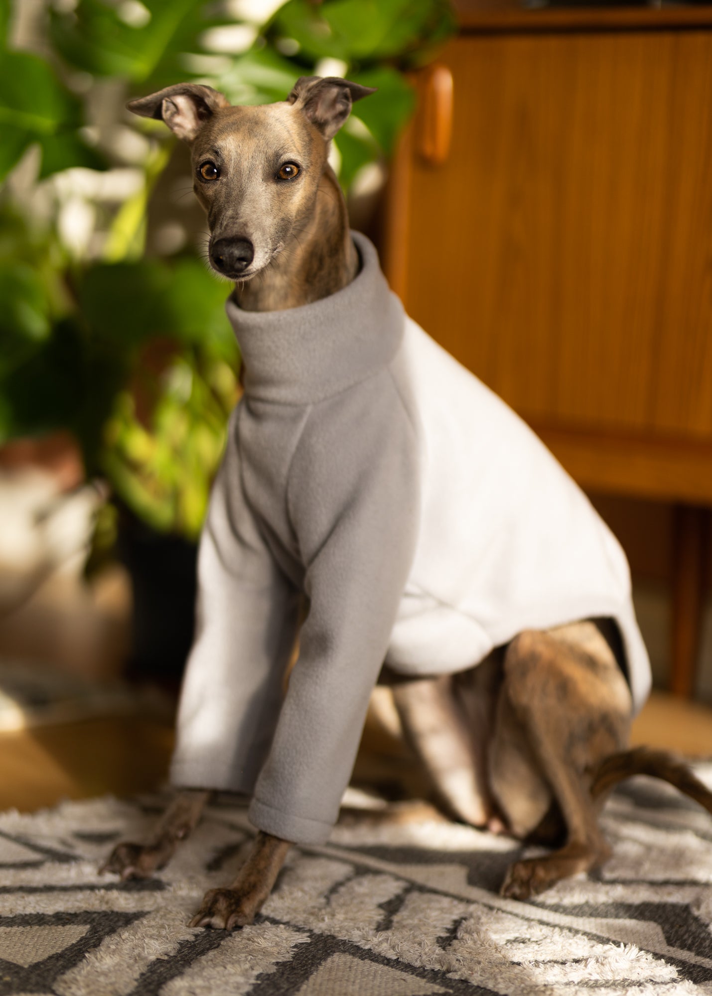 Fleece Basics - Jumper