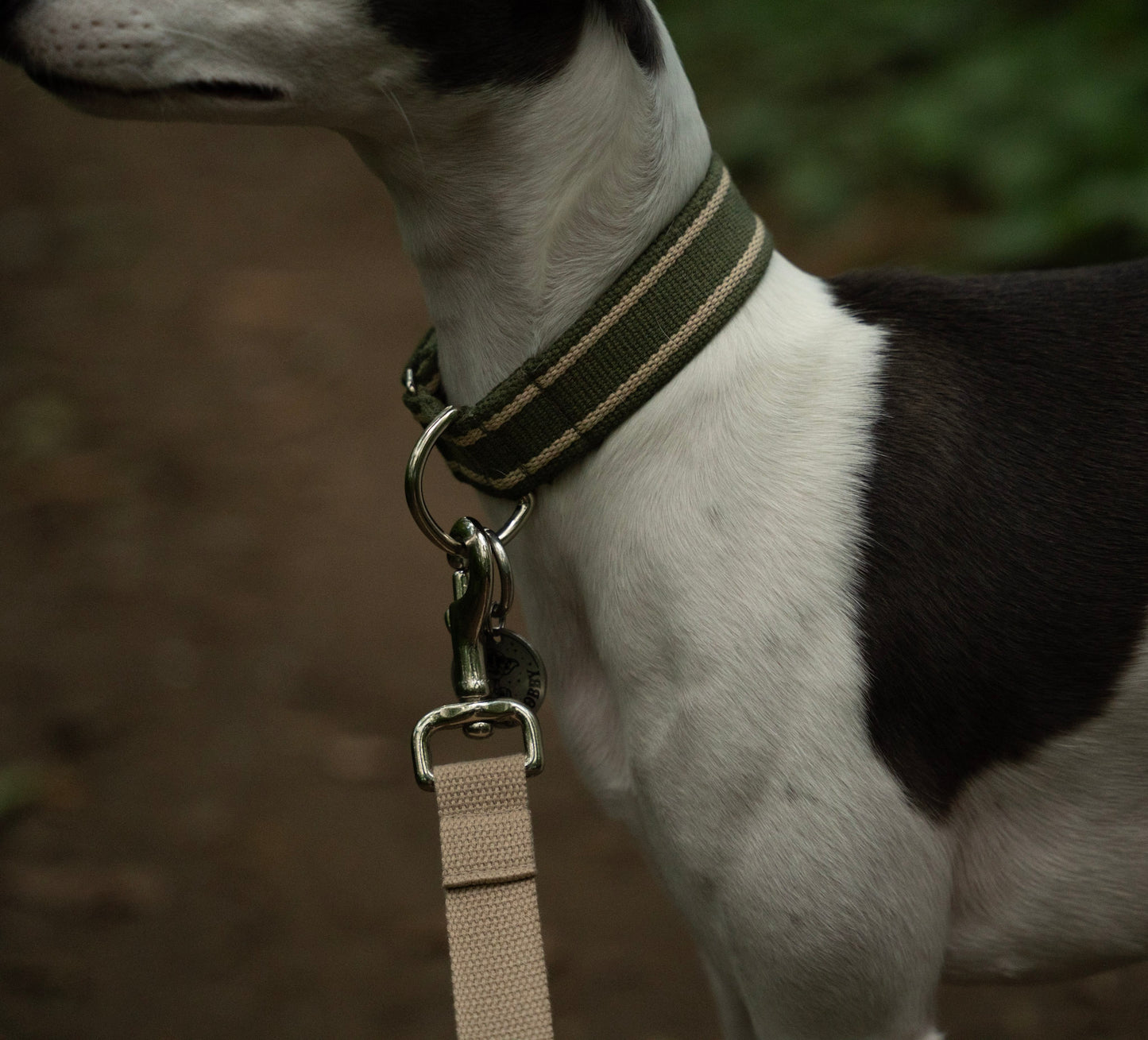 Fabric Collars