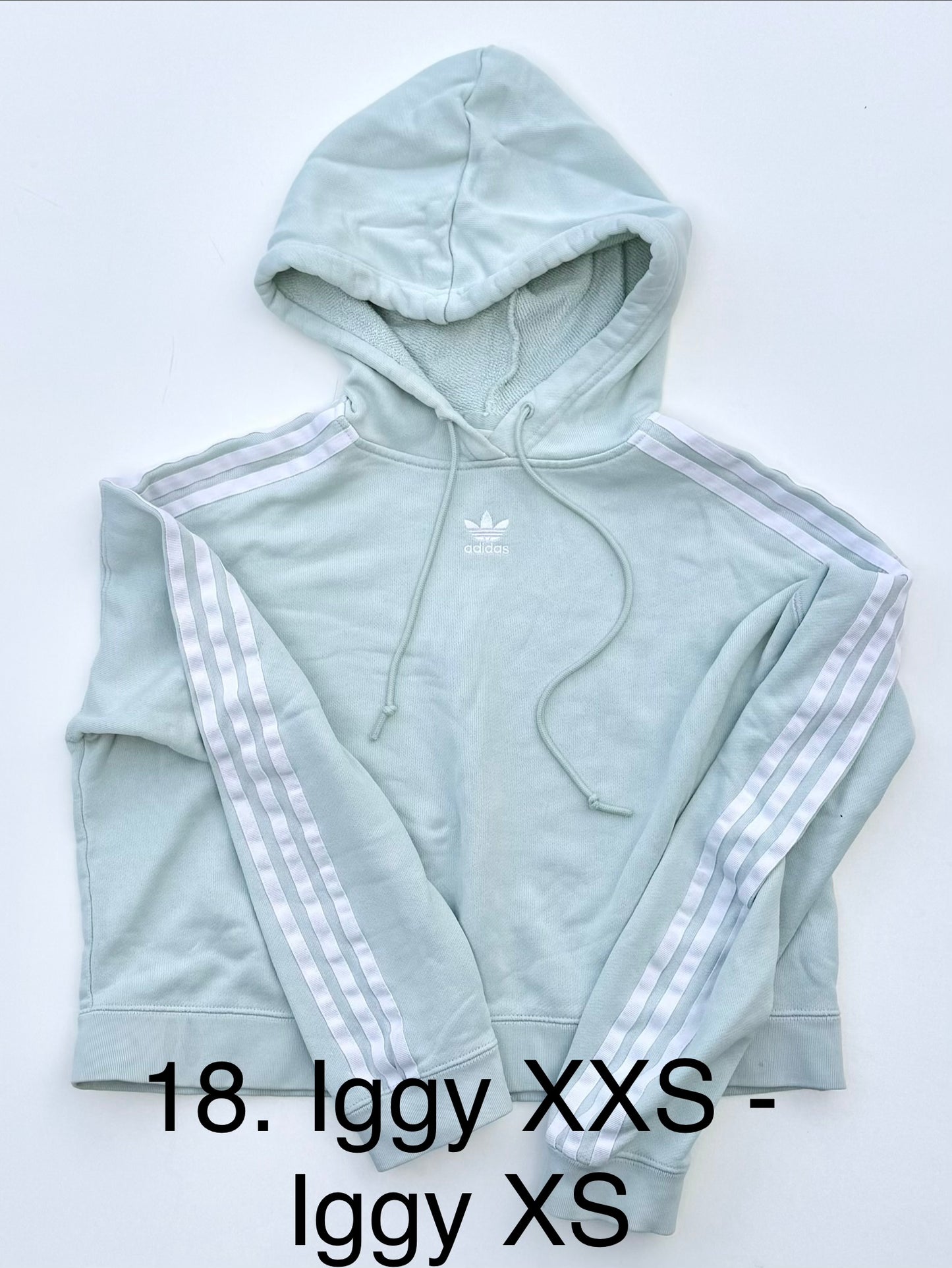 Pupcycle Hoodies