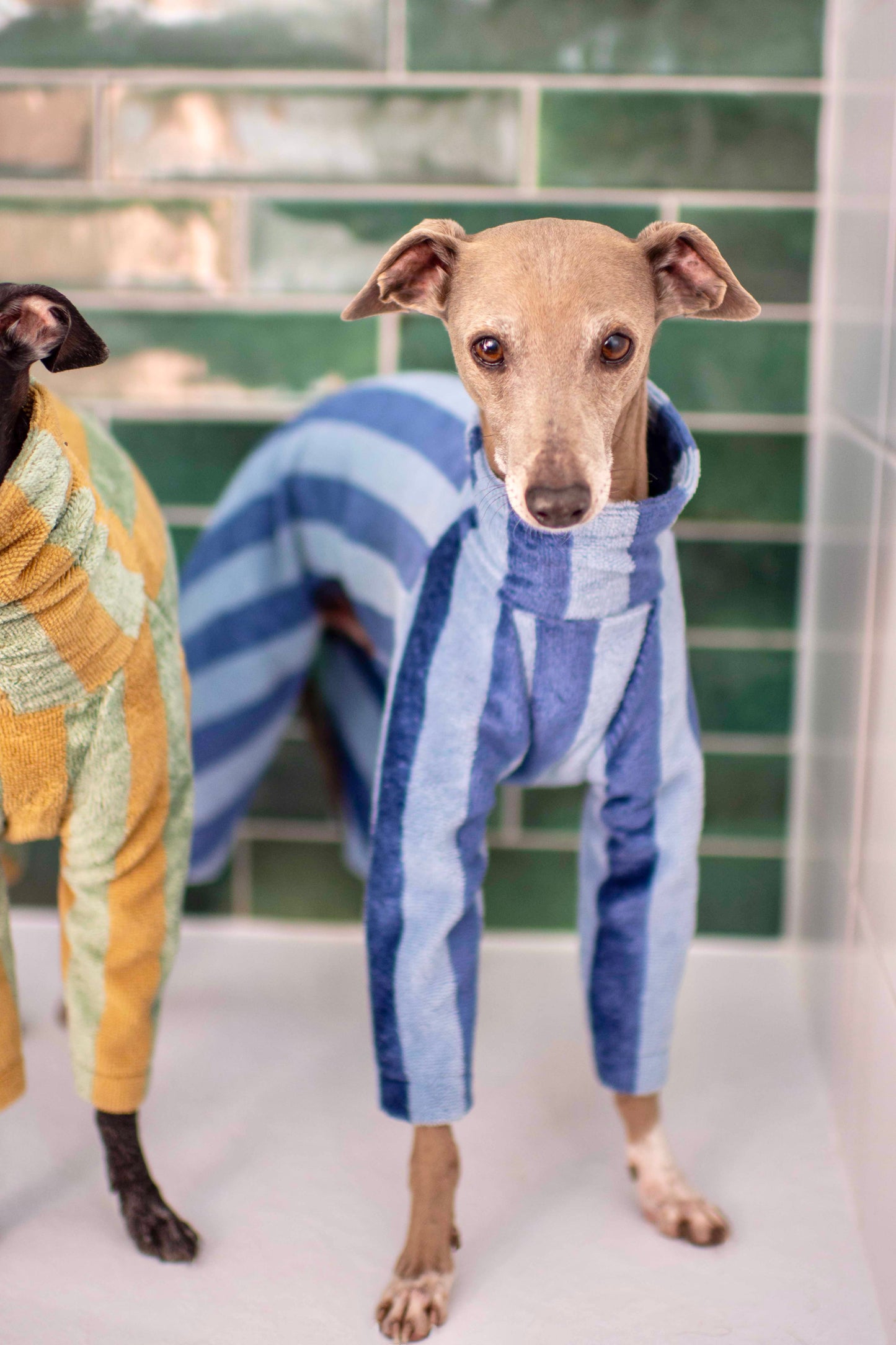 Towelling Onesies