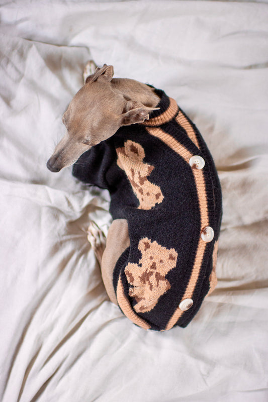 Pupcycle (Knitwear)