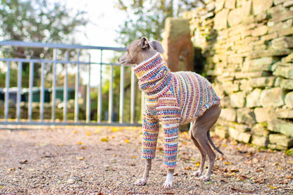 Rainbow Knit Jumper