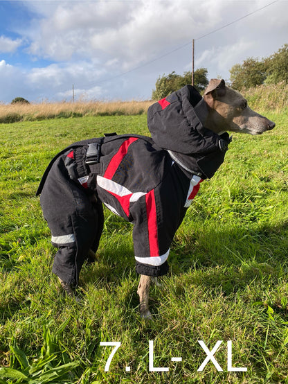 Pupcycle (Ready Made)