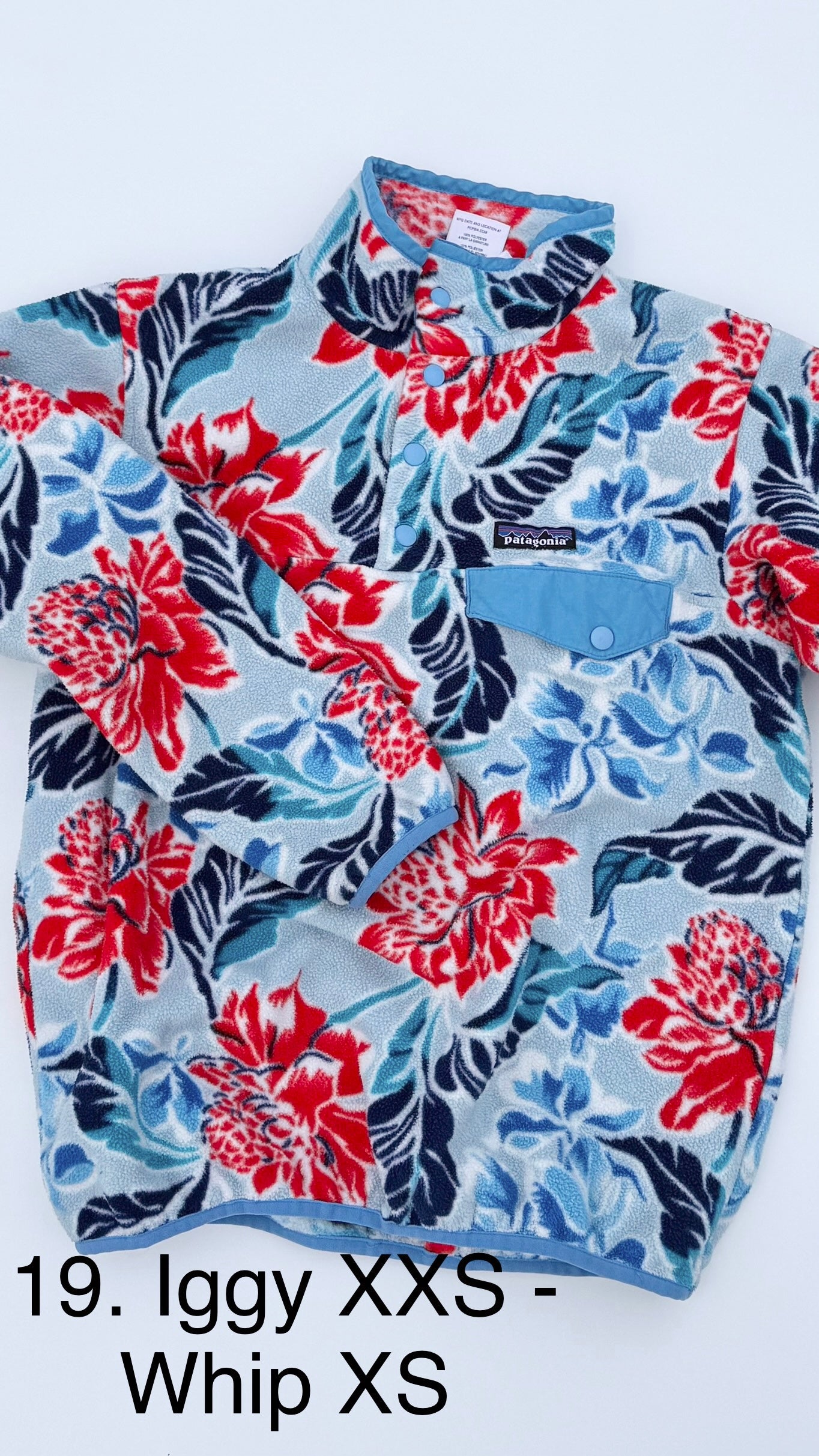 Pupcycle (Made to Order)