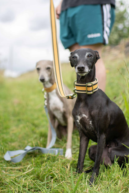 Fabric Collars