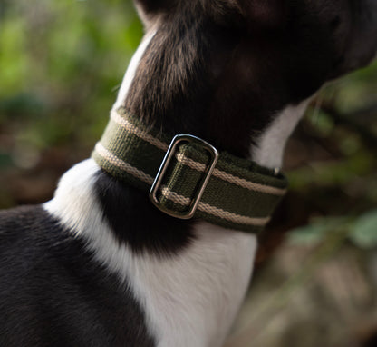 Fabric Collars