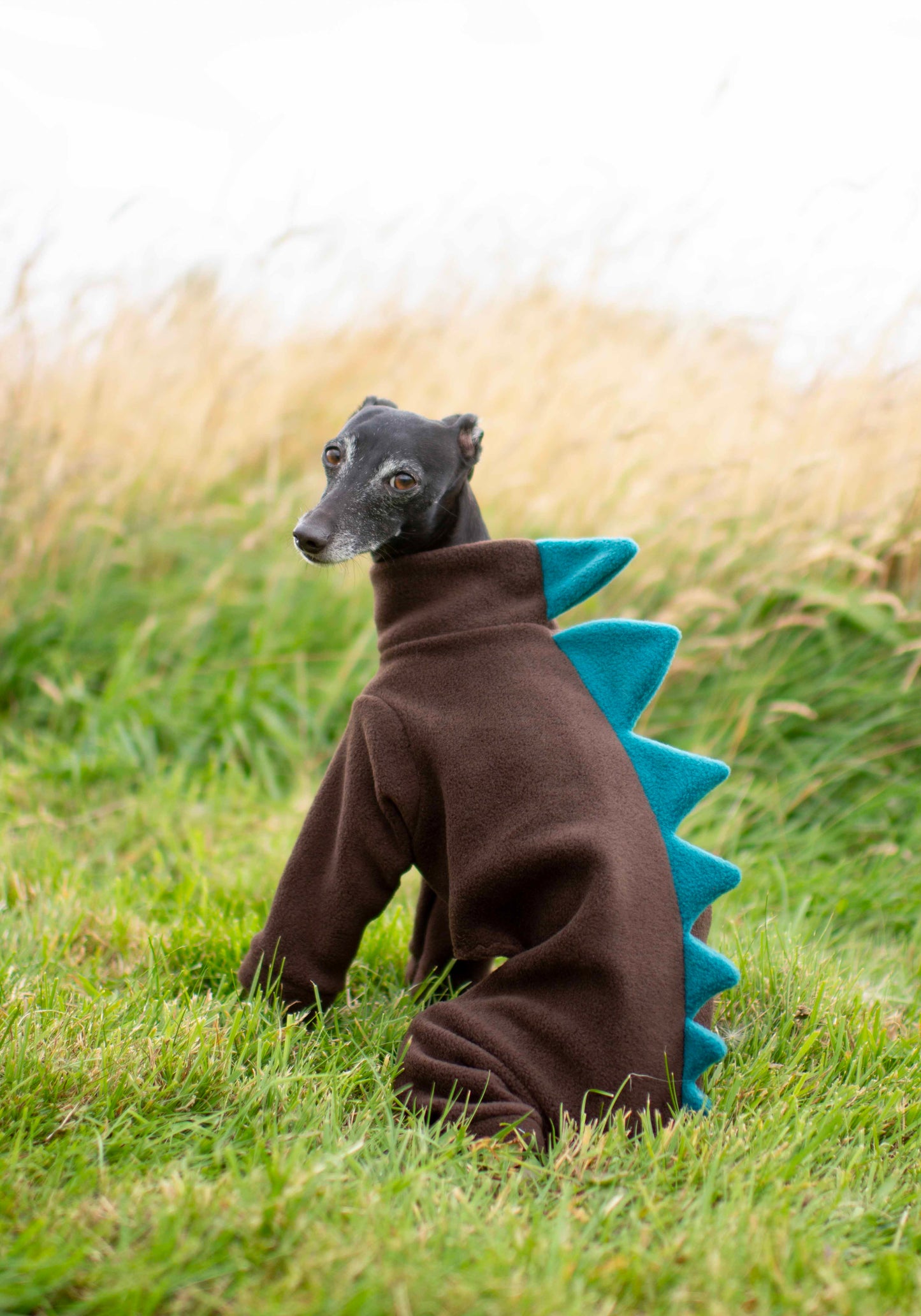 Dinosaur Fleece Onesies©