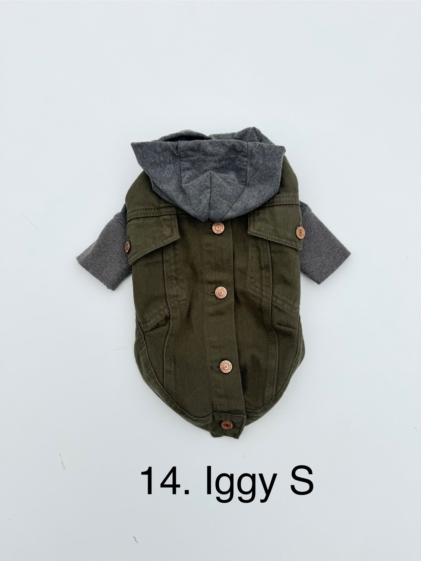 Pupcycle (Ready Made)