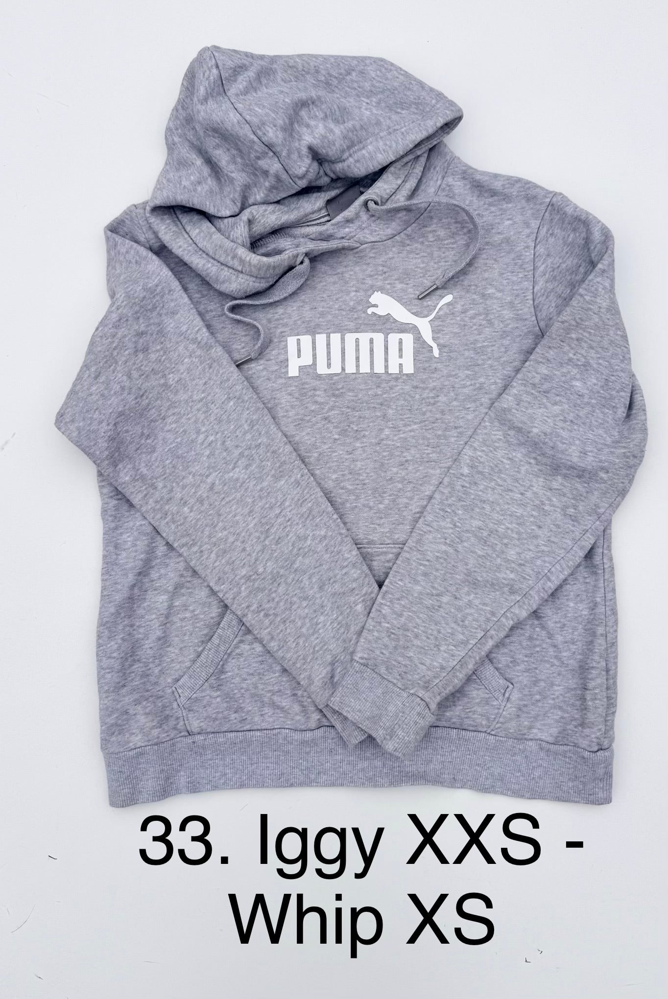 Pupcycle Hoodies