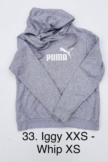 Pupcycle Hoodies