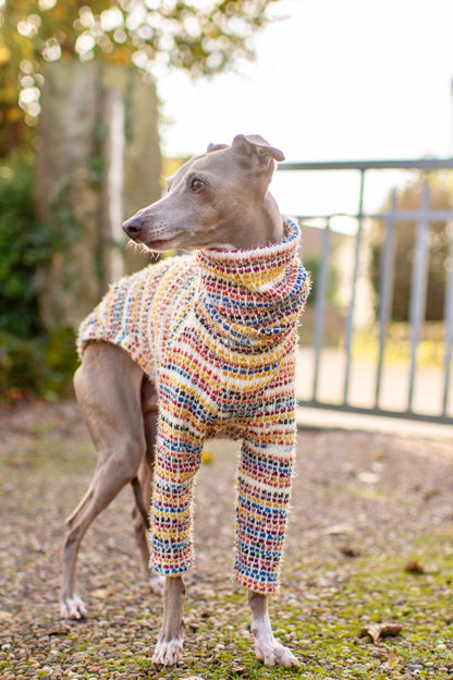 Rainbow Knit Jumper