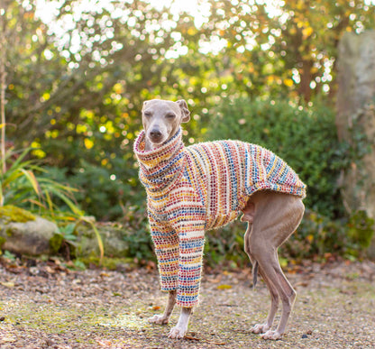 Rainbow Knit Jumper