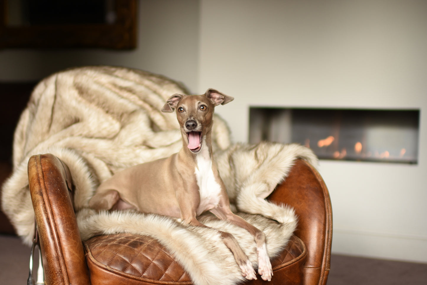 Faux Fur Blanket