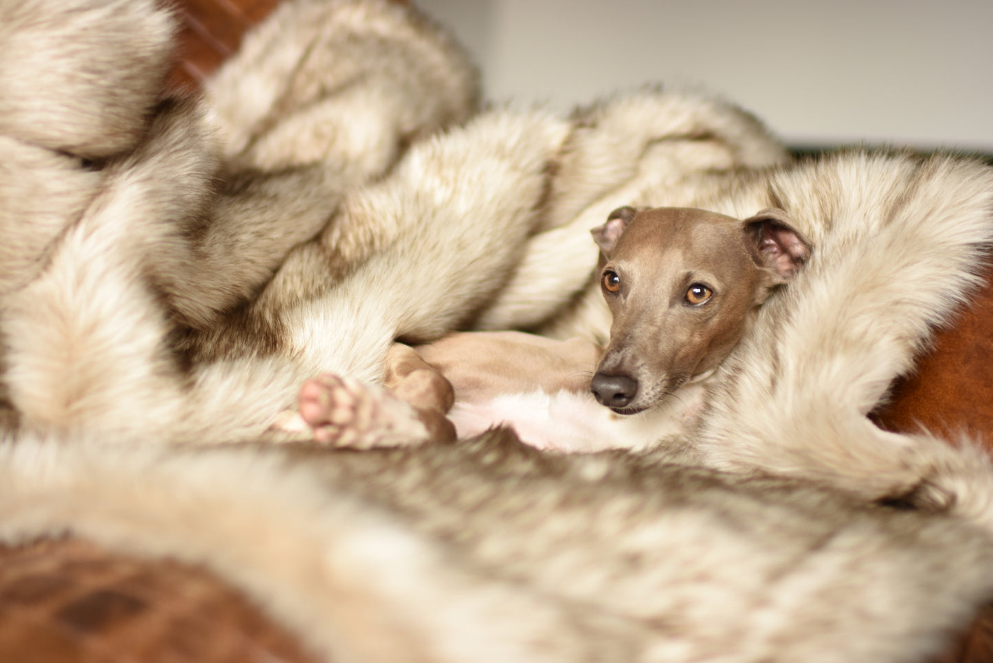 Faux Fur Blanket