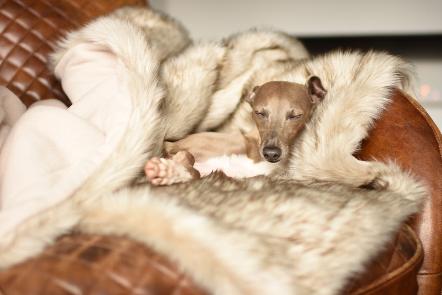 Faux Fur Blanket