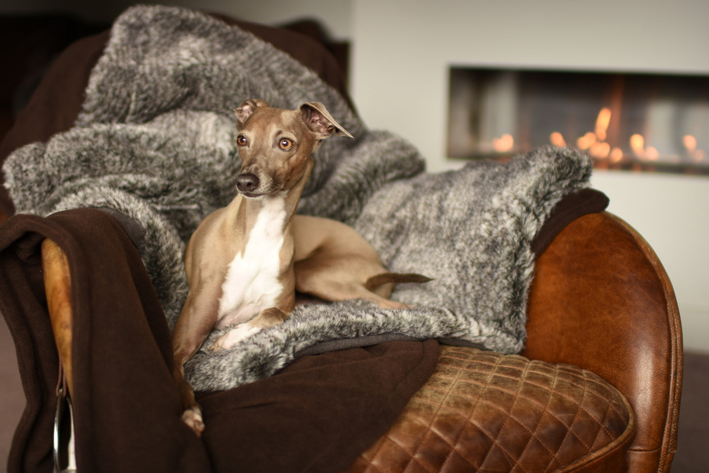 Faux Fur Blanket