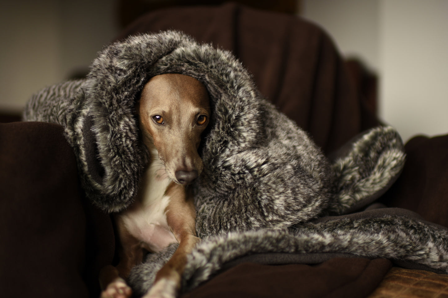 Faux Fur Blanket