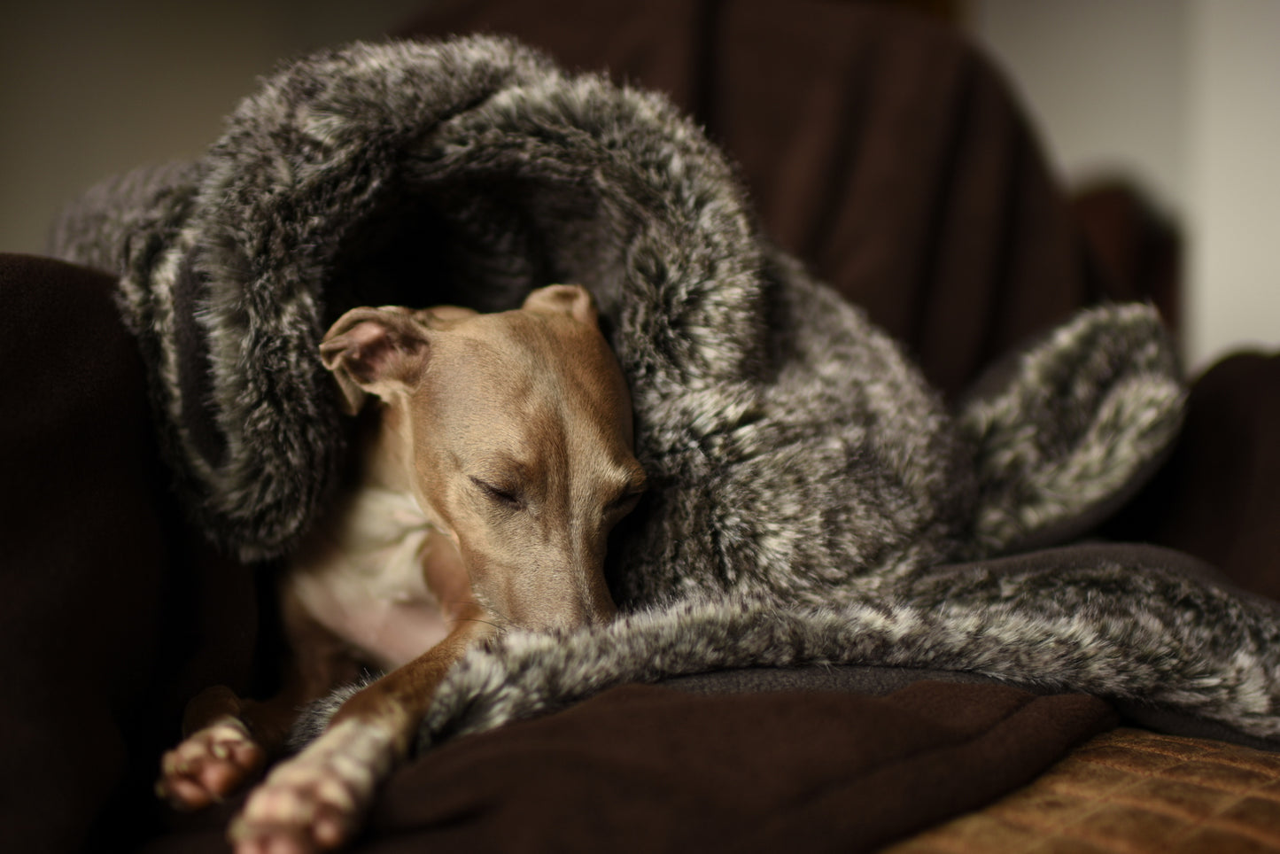 Faux Fur Blanket