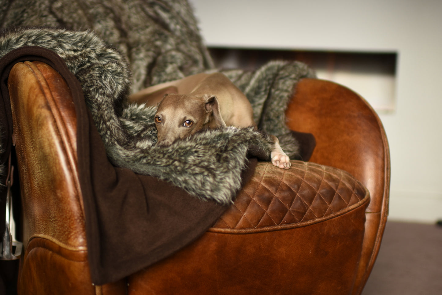 Faux Fur Blanket