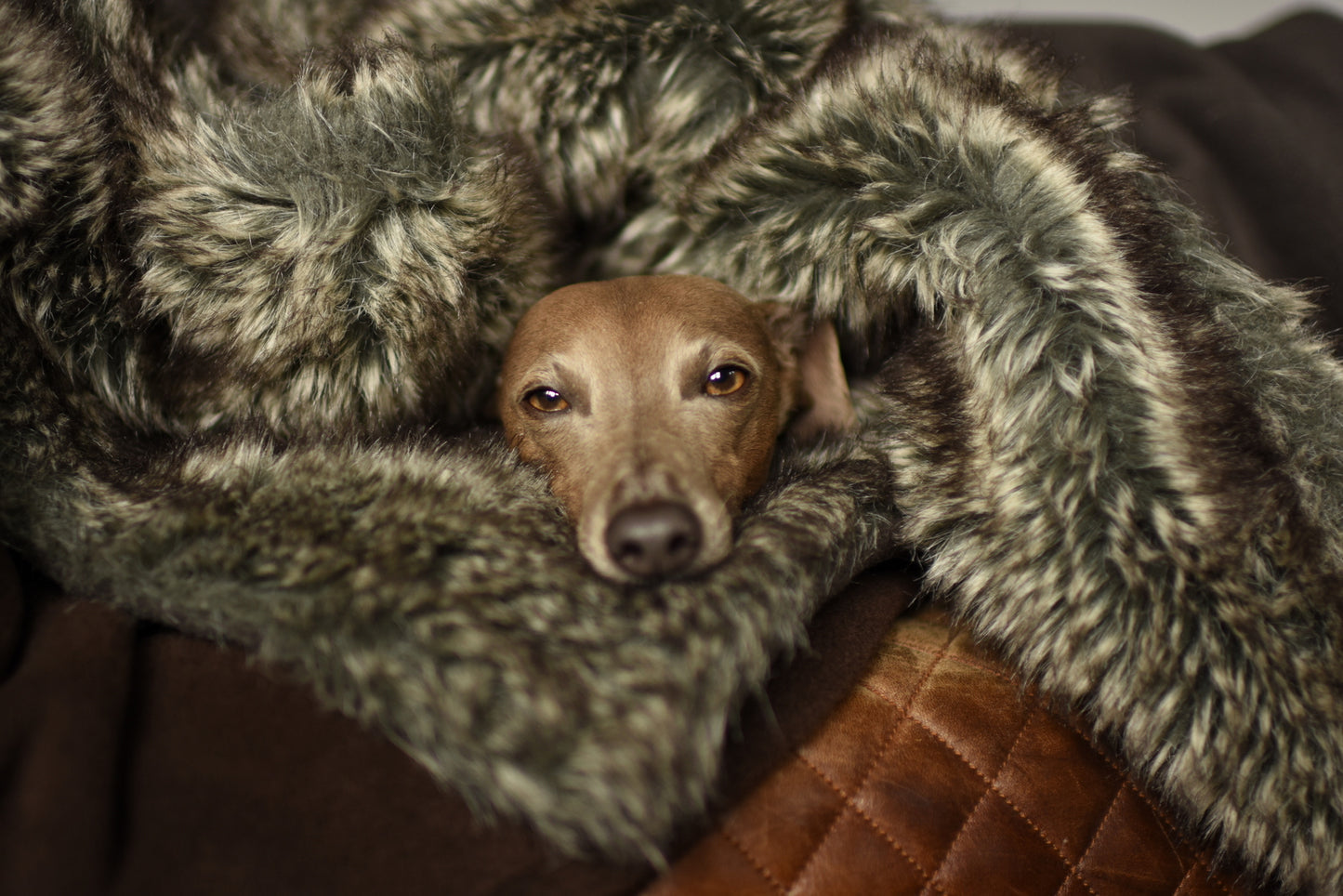 Faux Fur Blanket