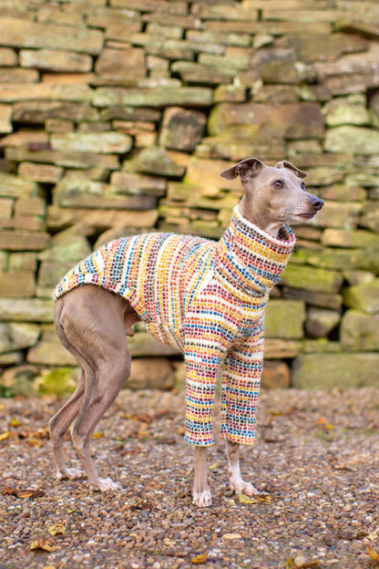 Rainbow Knit Jumper