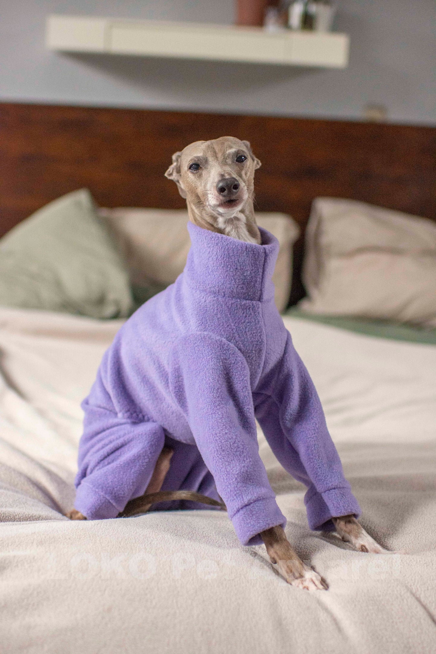 Fleece Basics - Onesie