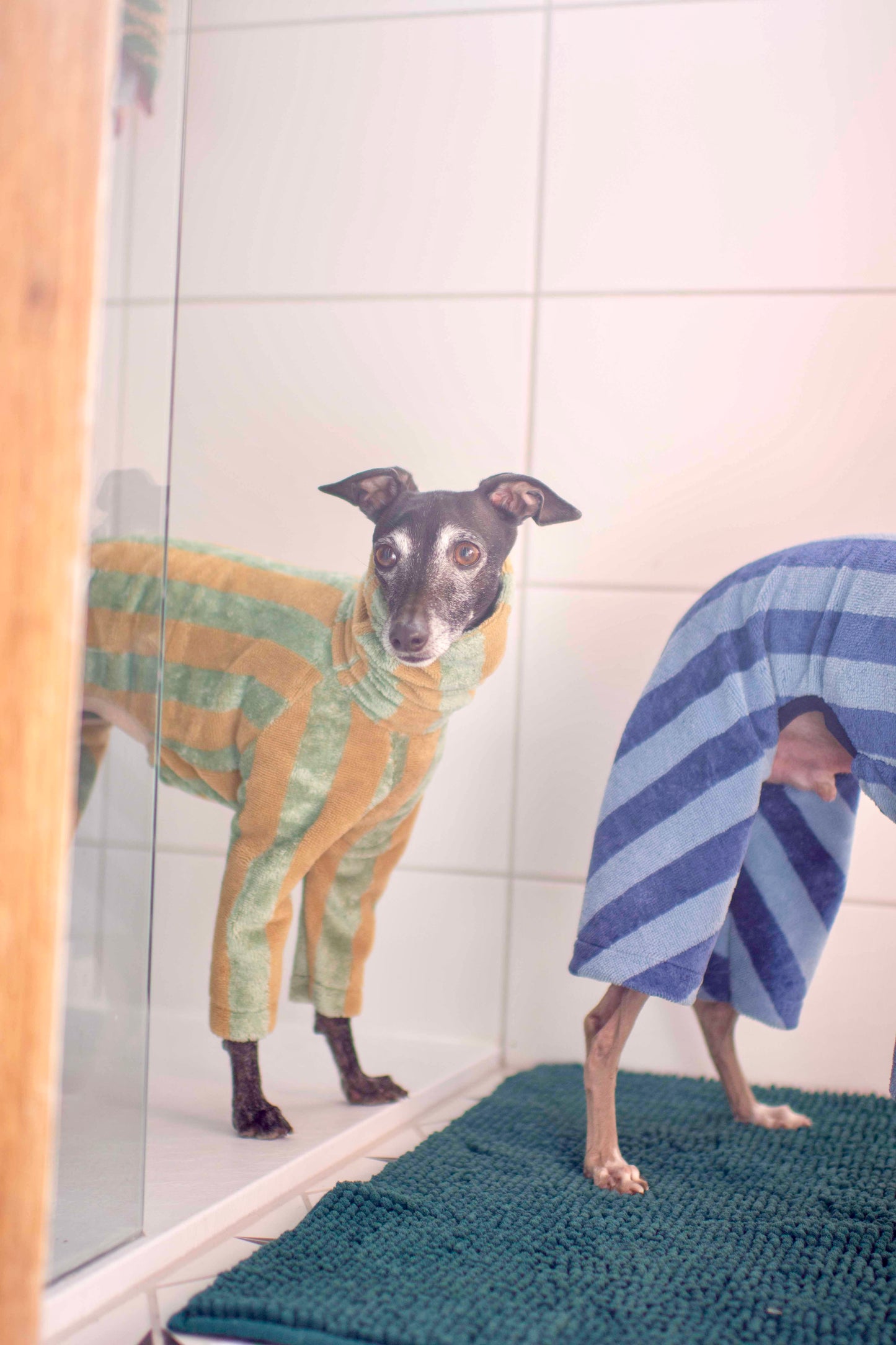 Towelling Onesies