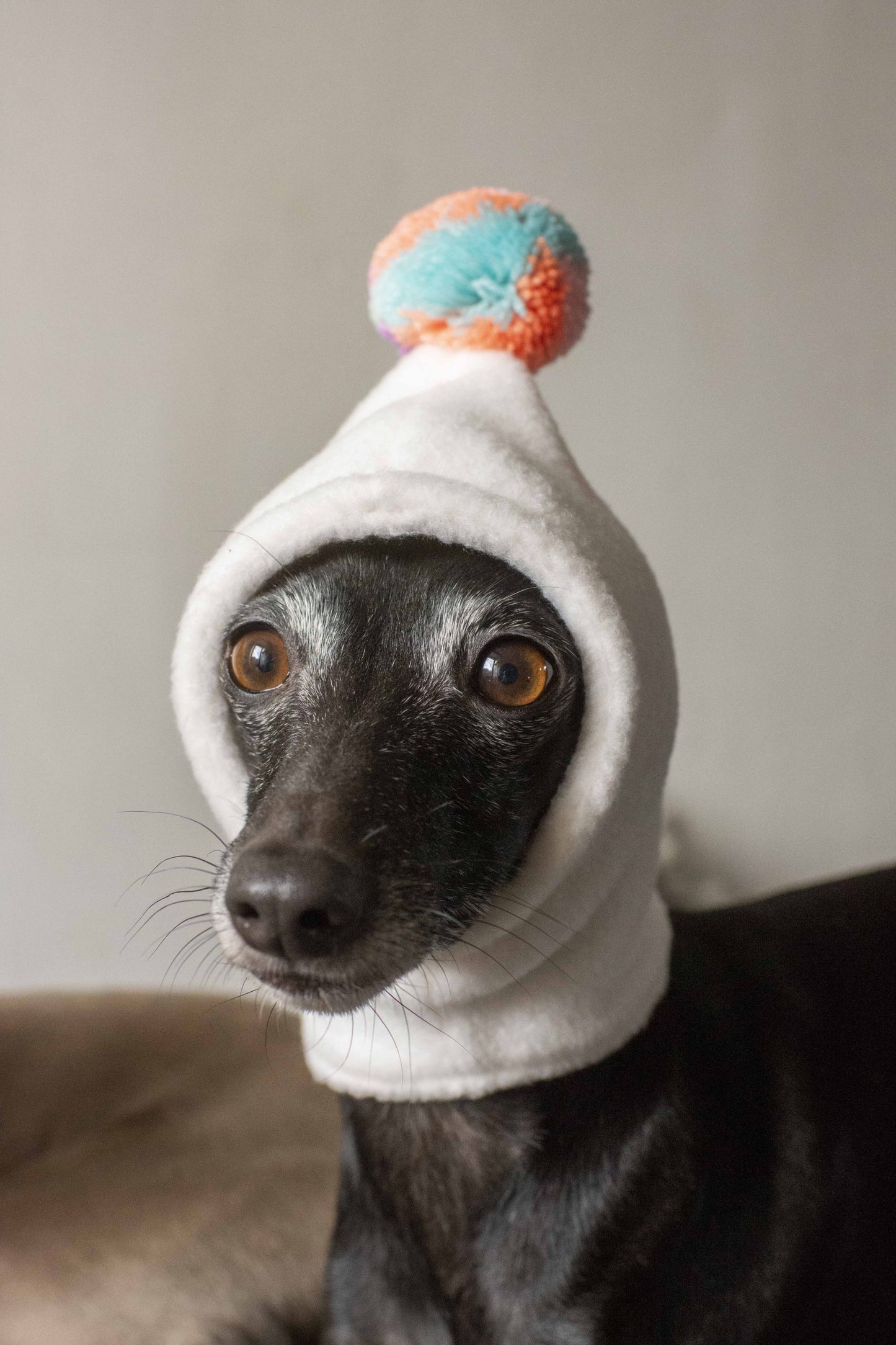 PomPom Fleece Hat