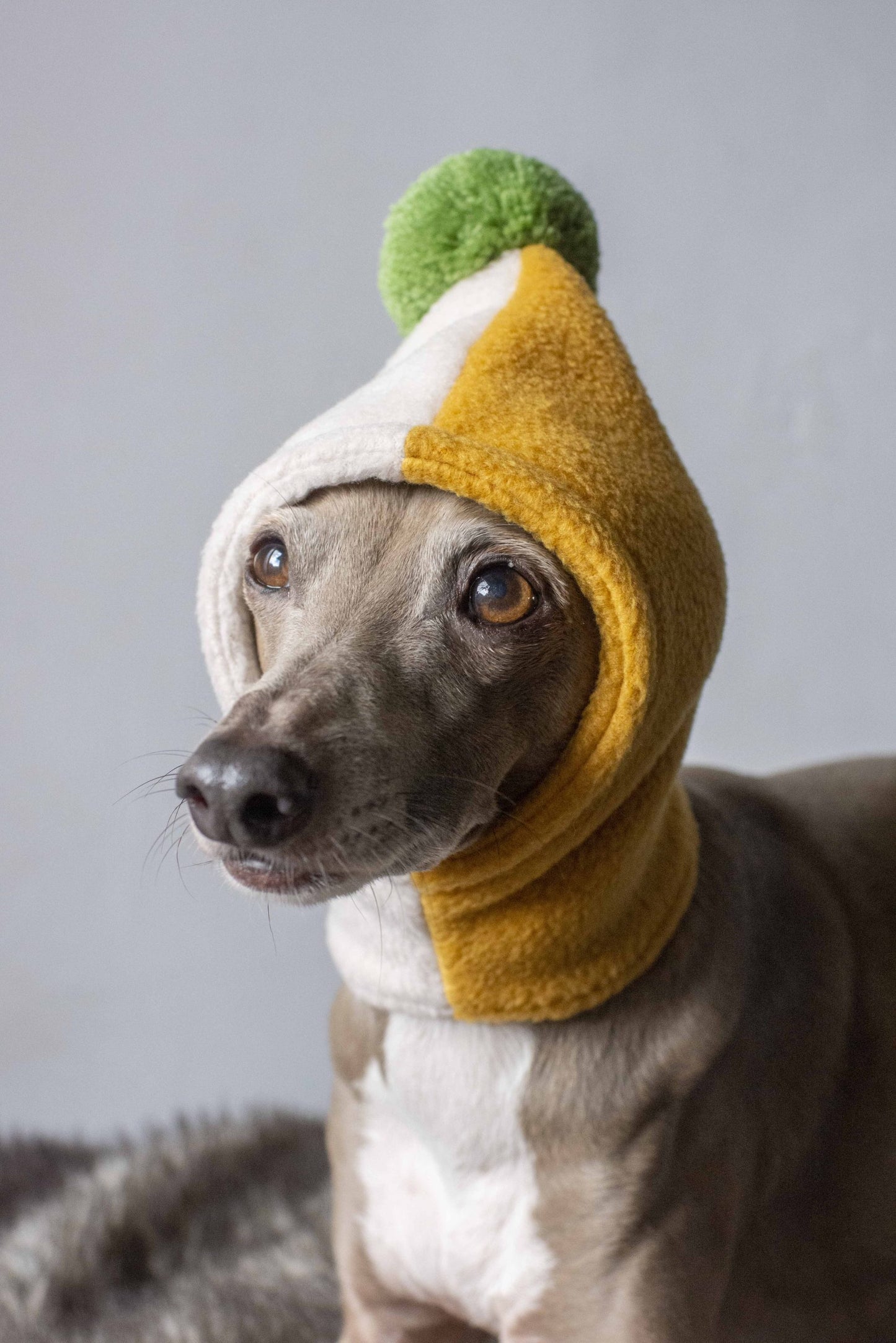 PomPom Fleece Hat