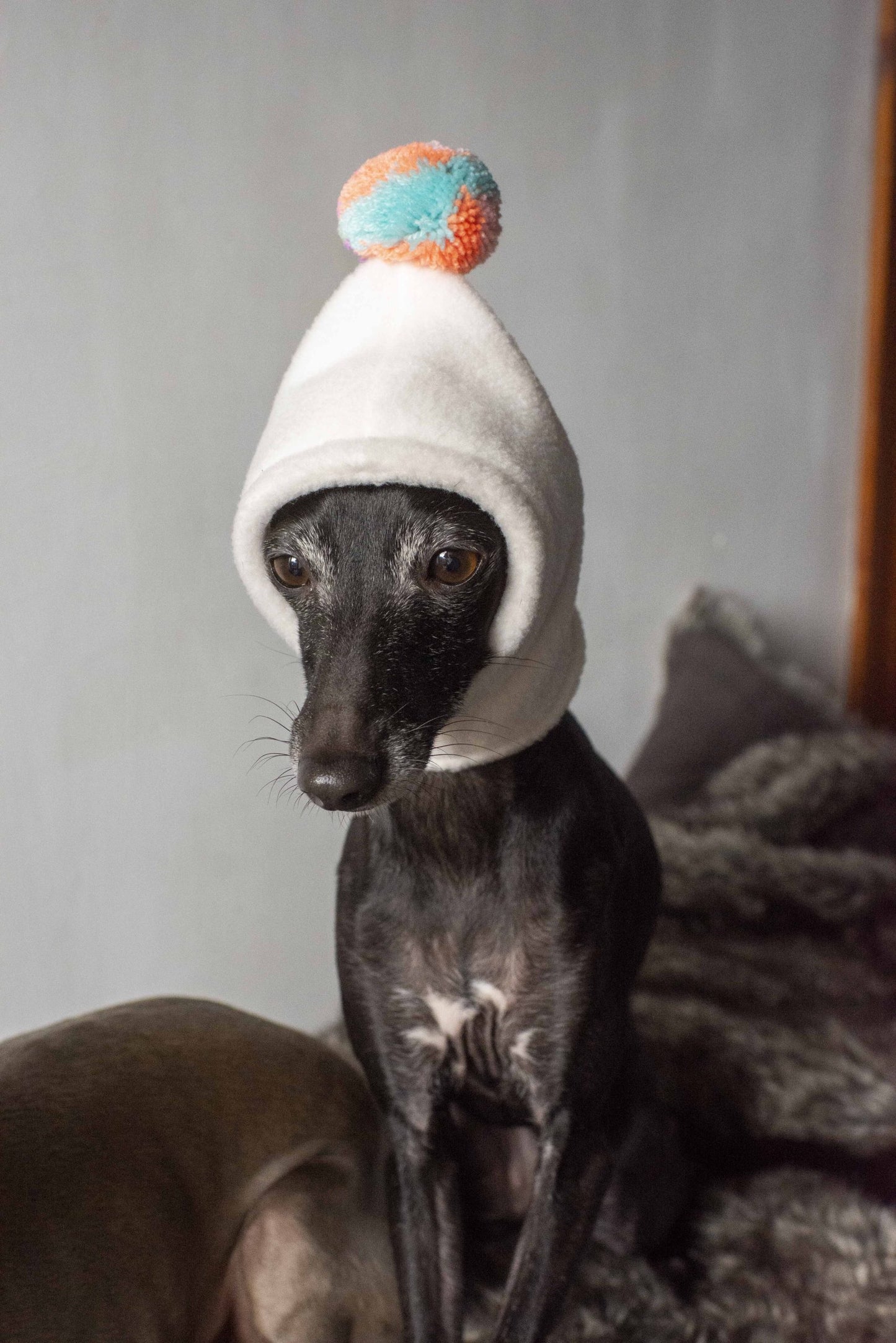 PomPom Fleece Hat