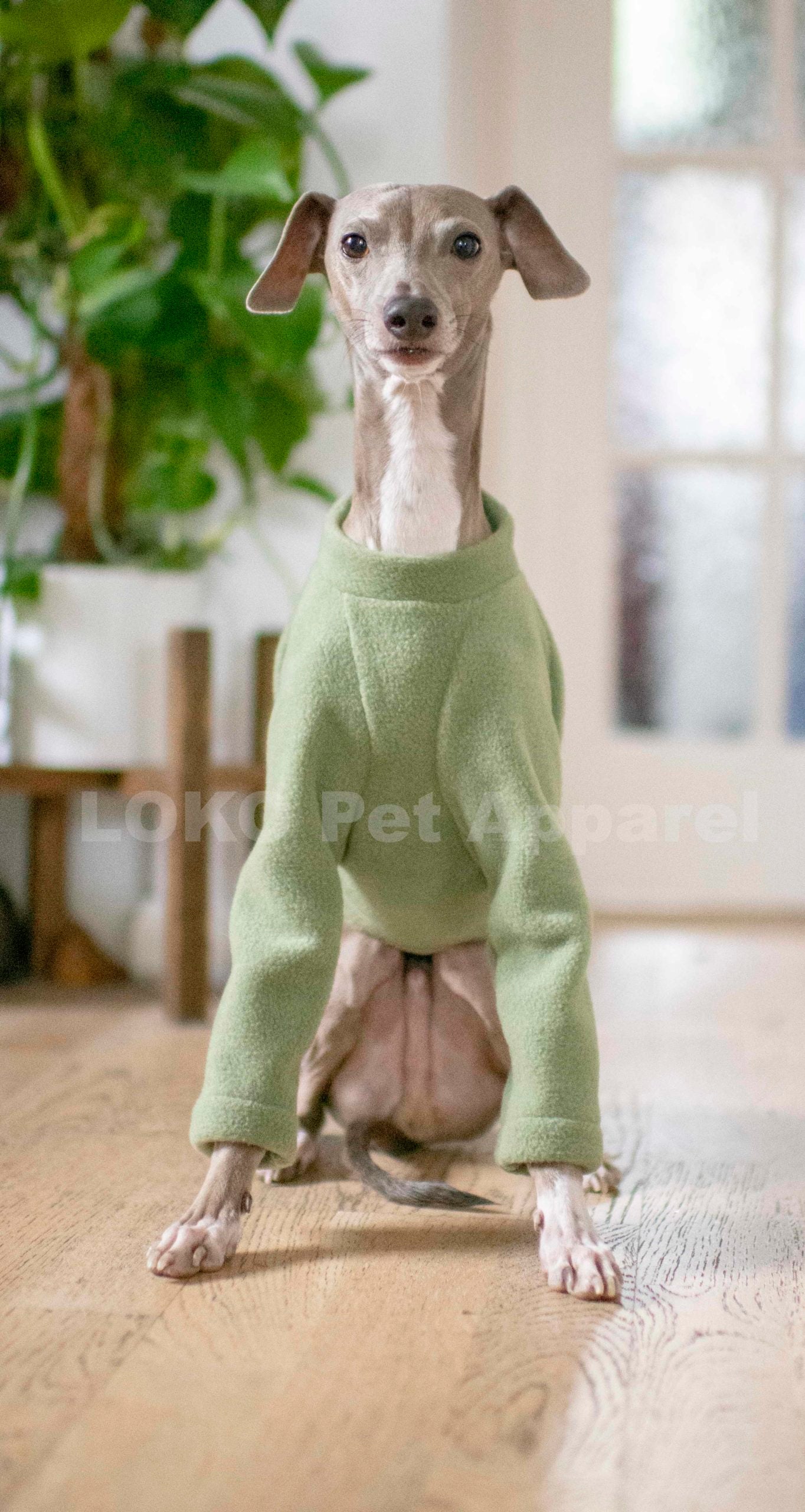 Fleece Jumper