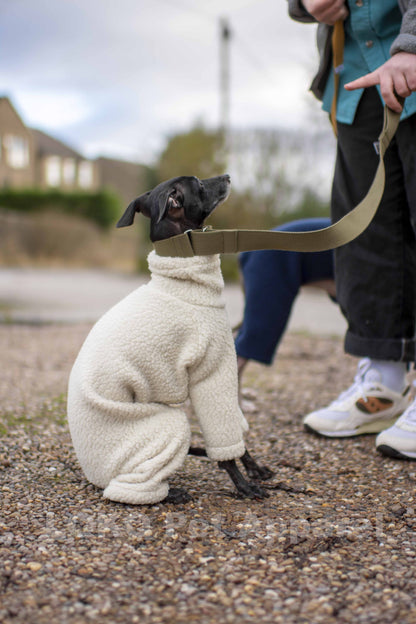 Polartec Shearling Fleece Onesie