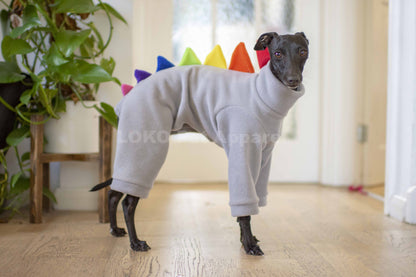 Dinosaur Onesie Rainbow Edition