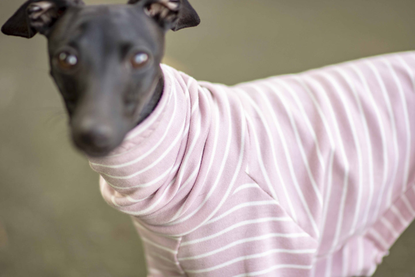 Jersey Striped Tops