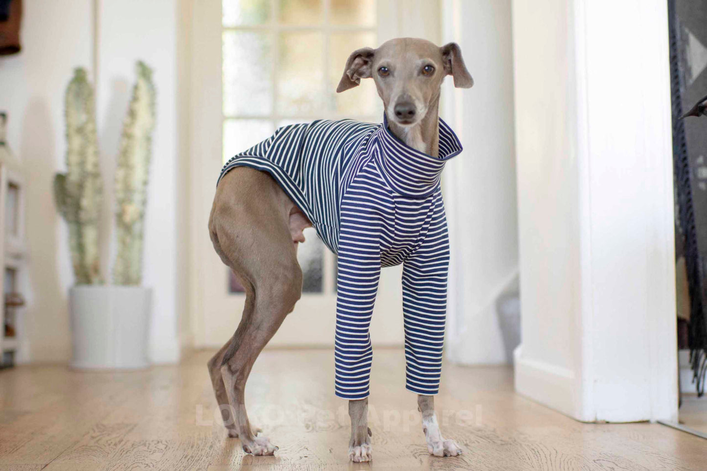 Jersey Striped Tops