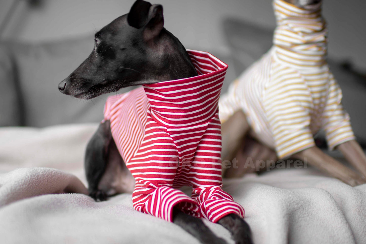 Jersey Striped Tops