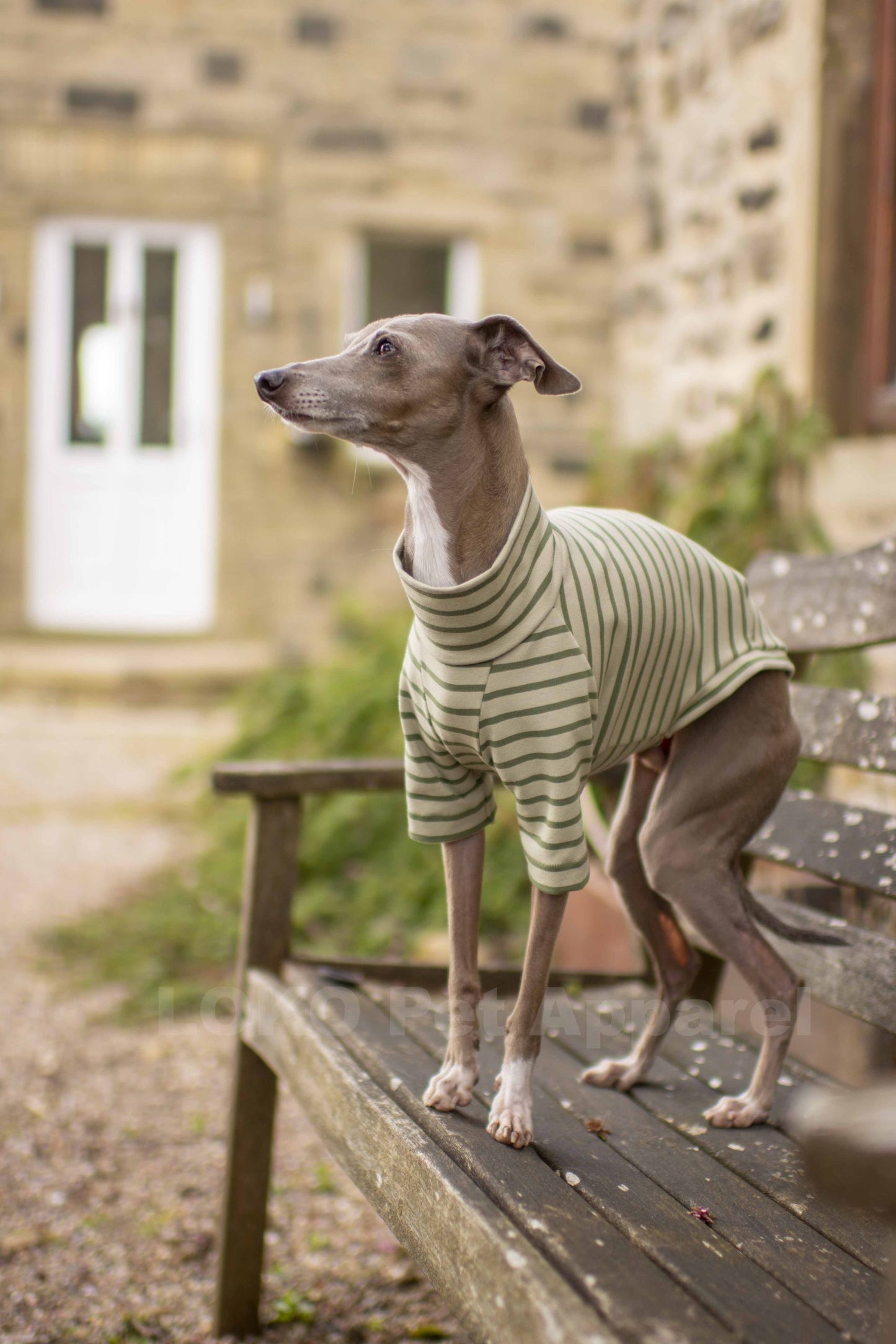 Breton Stripe Jersey