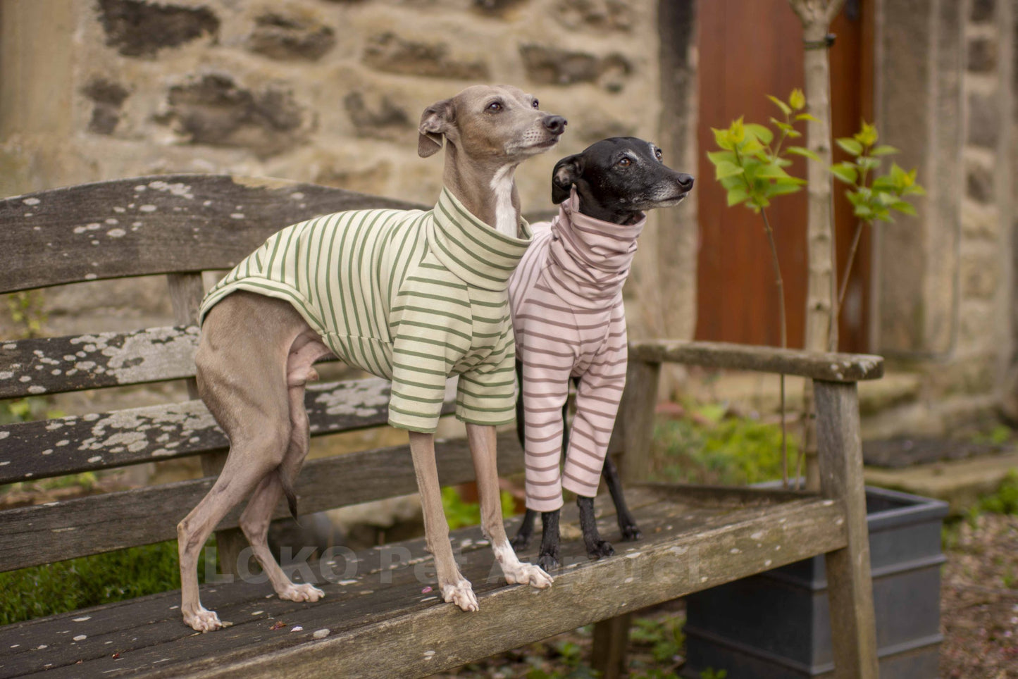 Breton Stripe Jersey