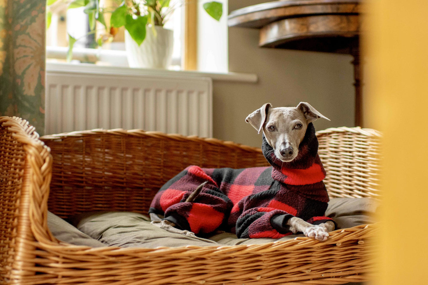 Buffalo Plaid Onesie